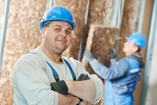 Best Spray Foam Insulation  in Mount Morris, IL